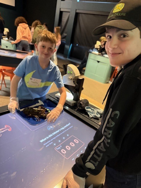 gulf of maine research institute