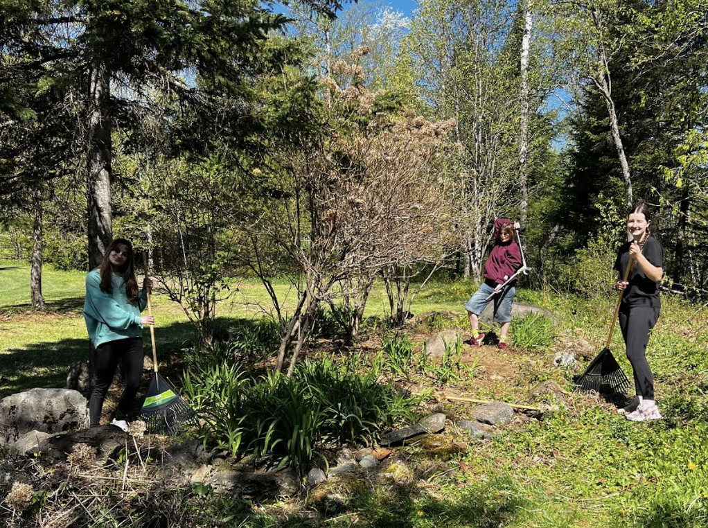 community service day