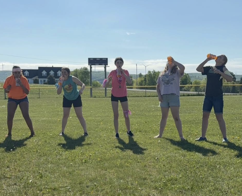 field day
