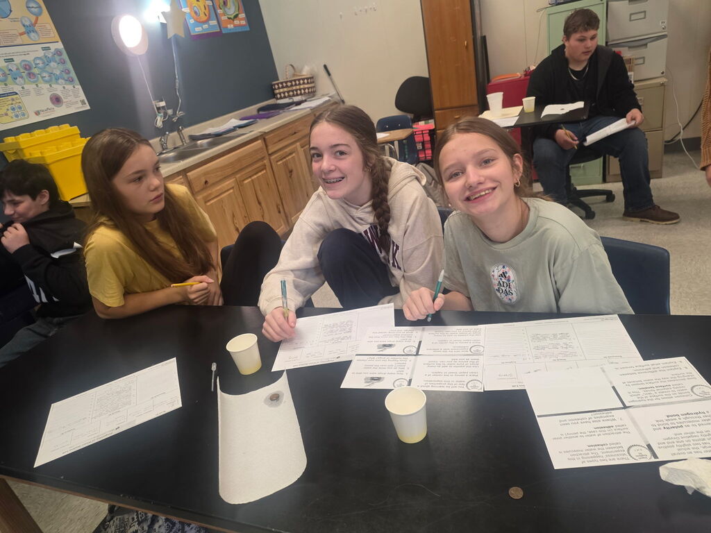 lab