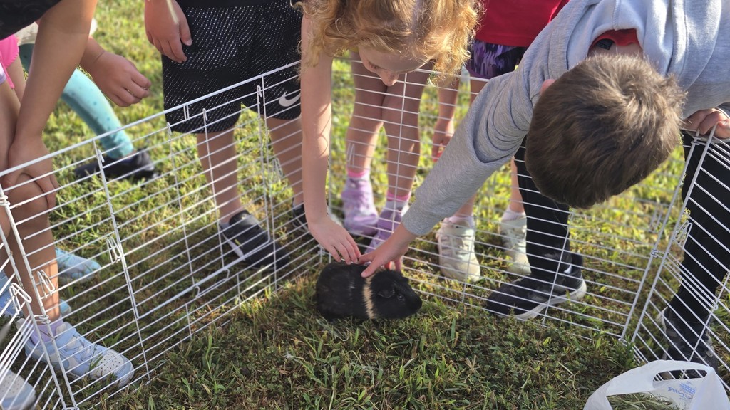 Barnyard