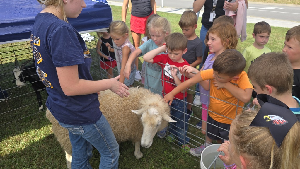 FFA Barnyard