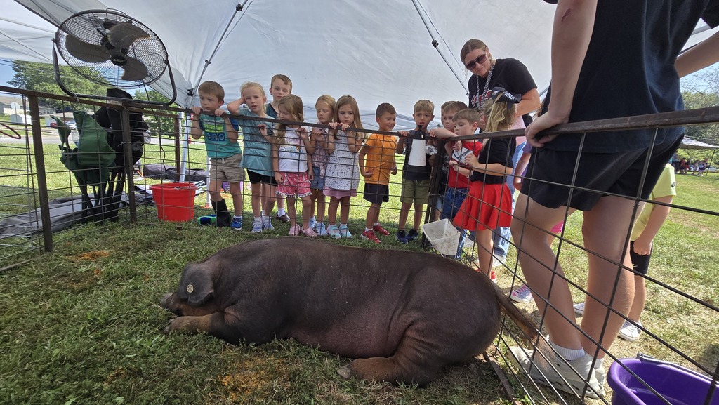 FFA Barnyard