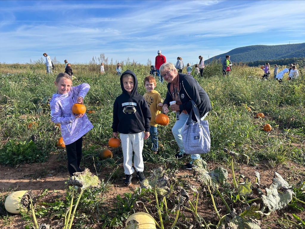pumpkin patch