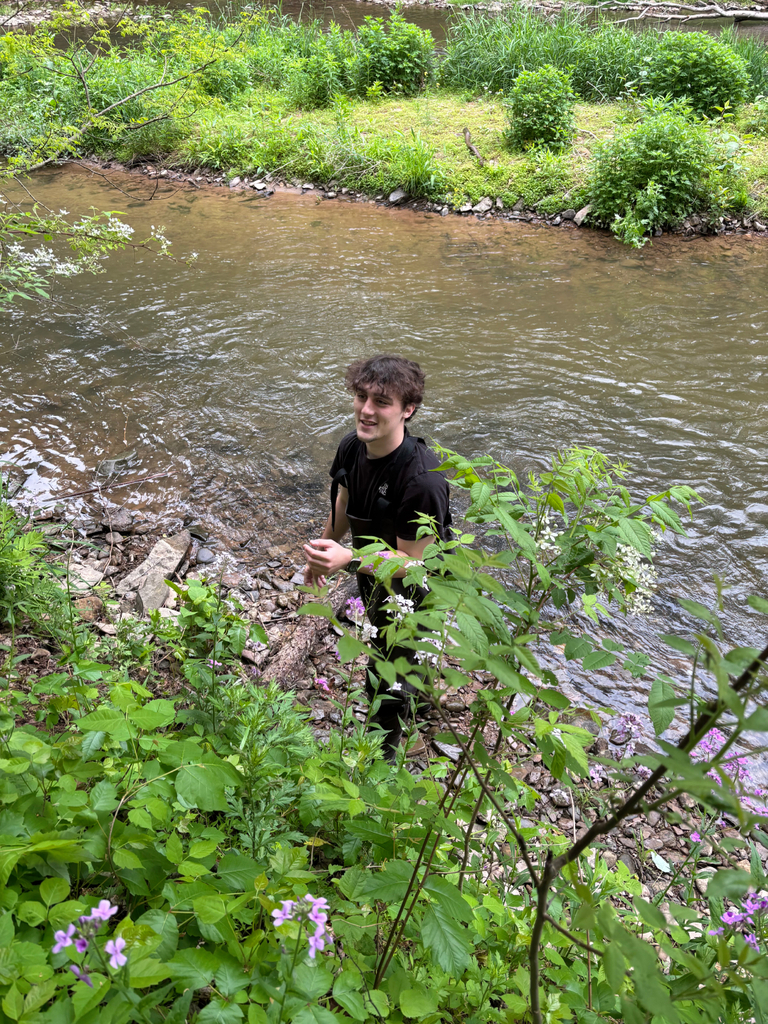duck race