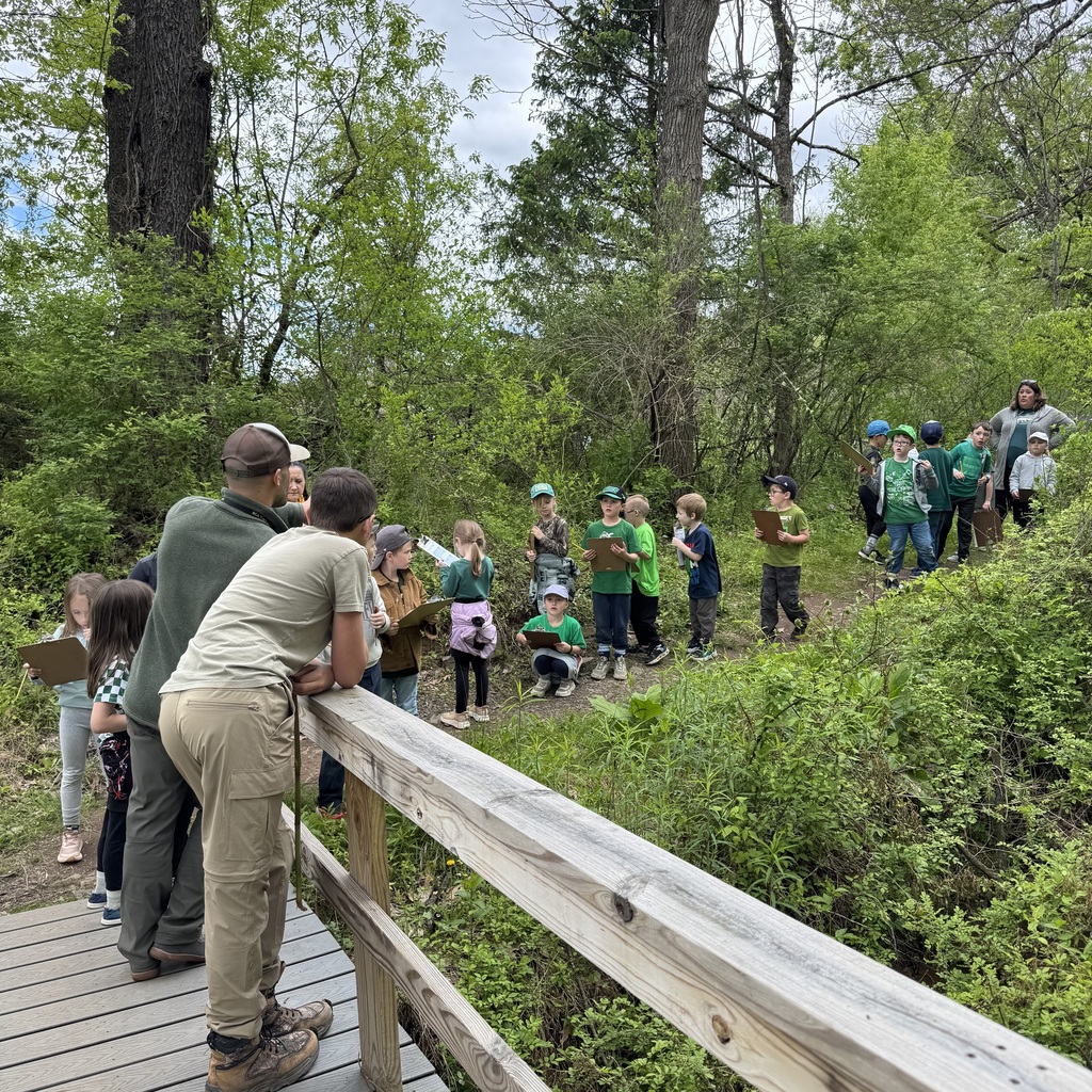 nature day