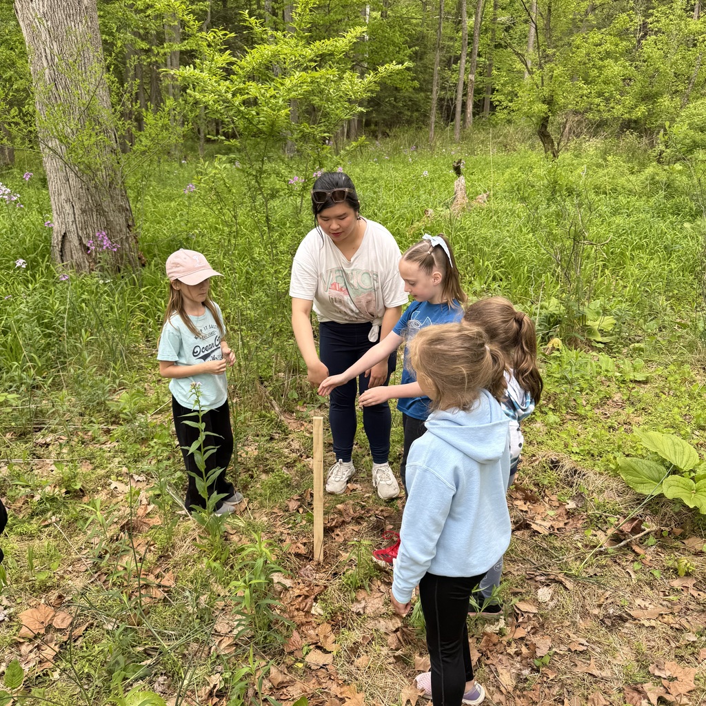 nature day