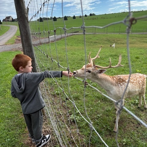 students visiting the red deer farm