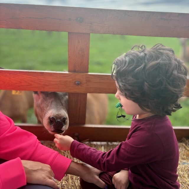 students visiting the red deer farm