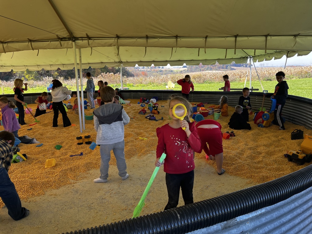 students engaging in activities at a farm market