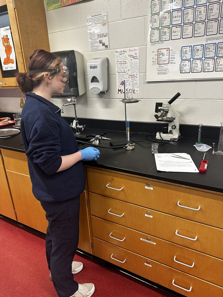 Ionic Compounds & Metals