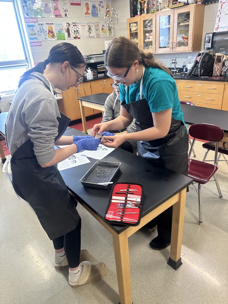dissection of the brain