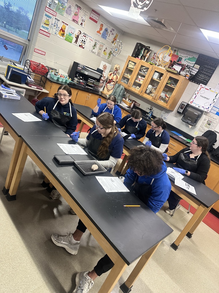 dissection of the brain