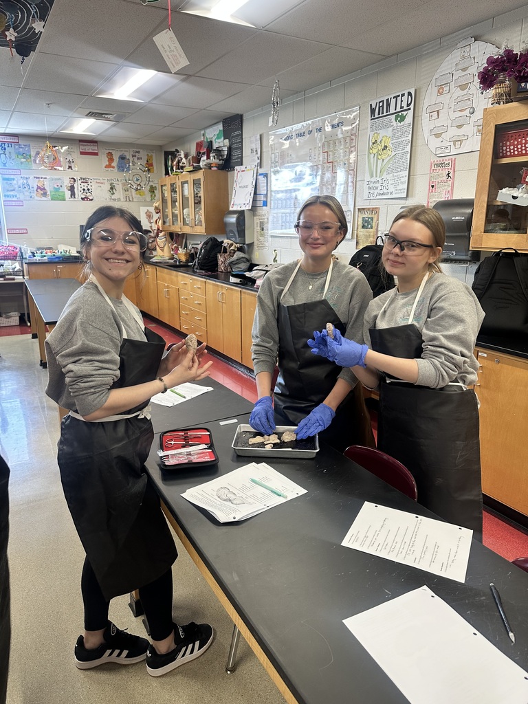 dissection of the brain