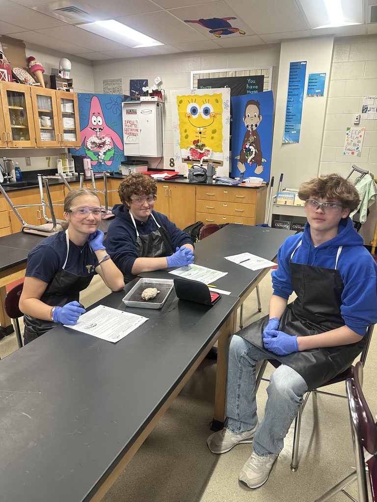 dissection of the brain