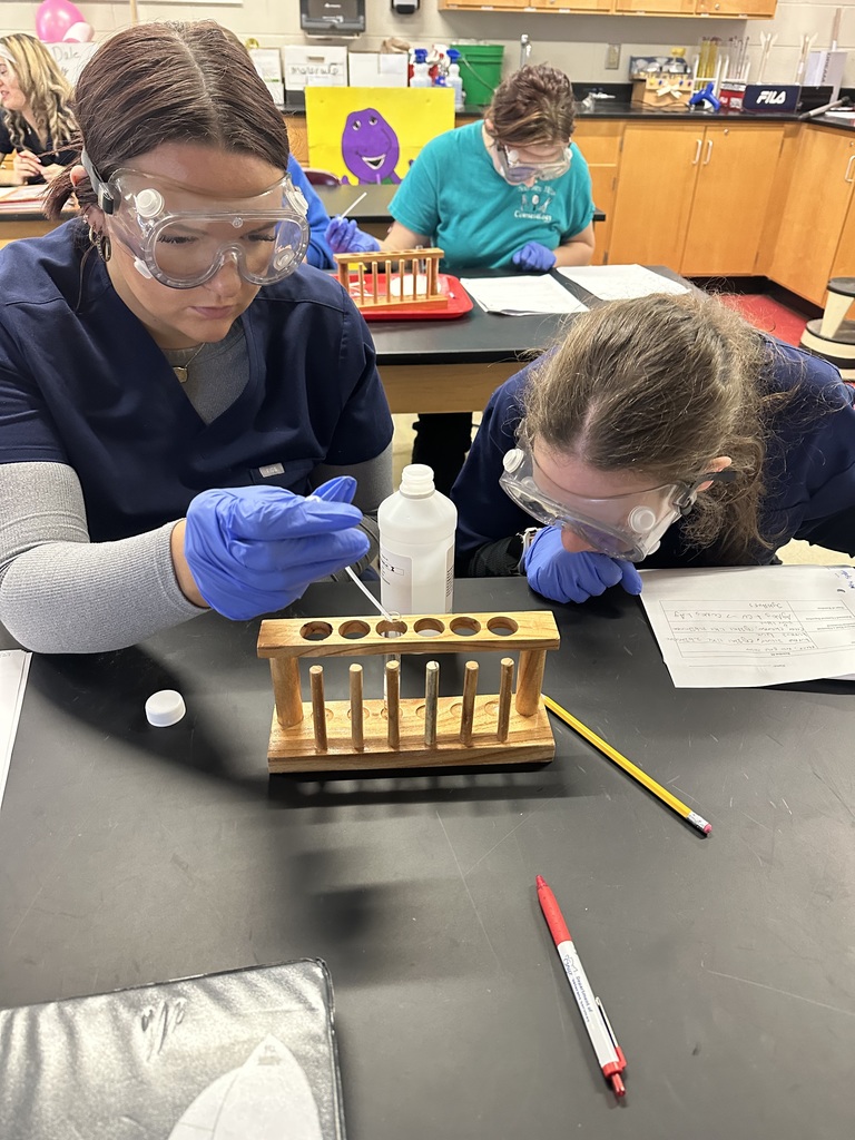 5 PART CHEMICAL REACTION LAB