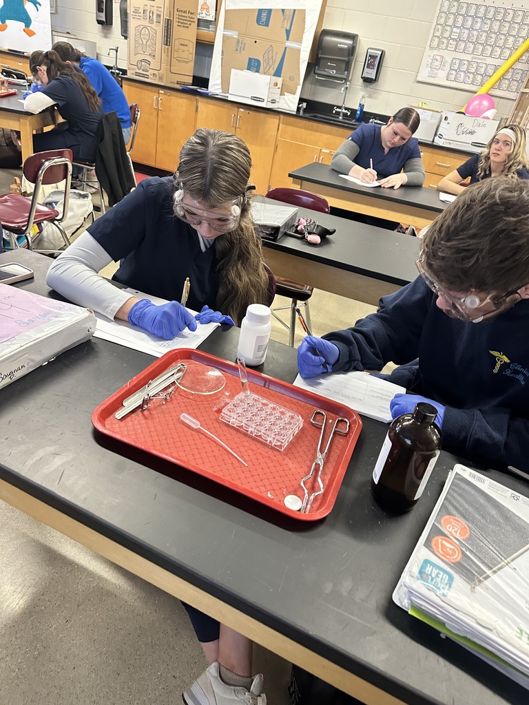 5 PART CHEMICAL REACTION LAB