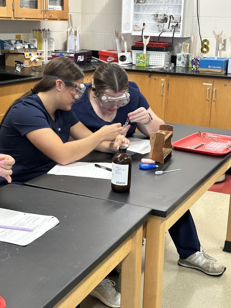 5 PART CHEMICAL REACTION LAB
