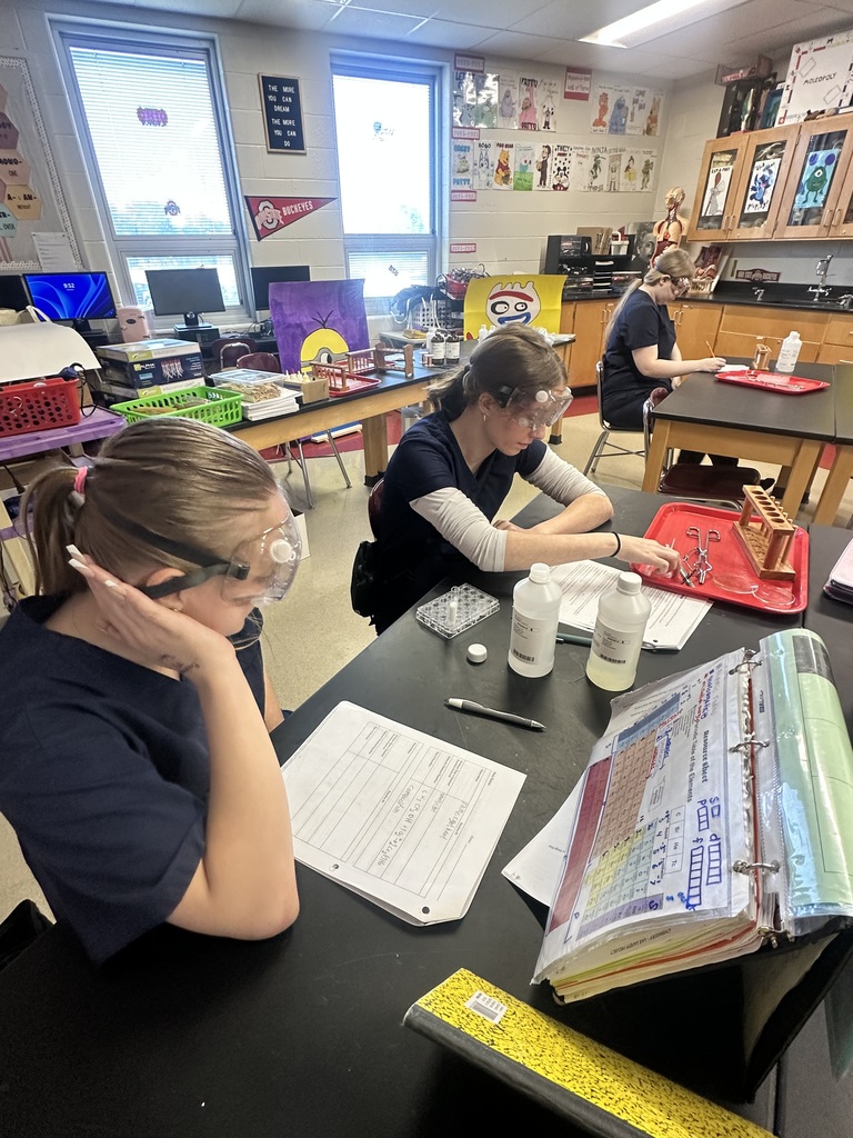 5 PART CHEMICAL REACTION LAB