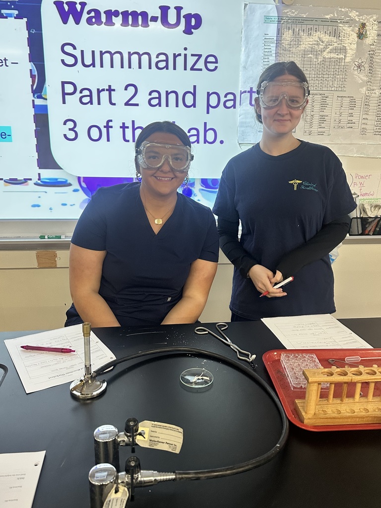 5 PART CHEMICAL REACTION LAB
