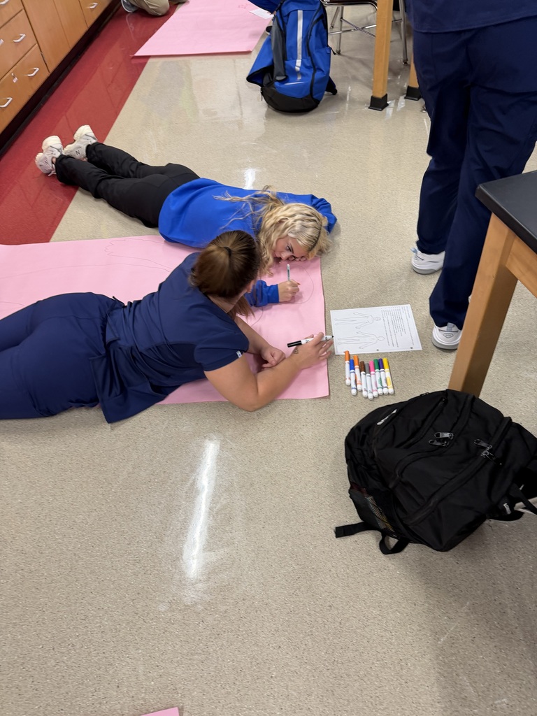Anatomy