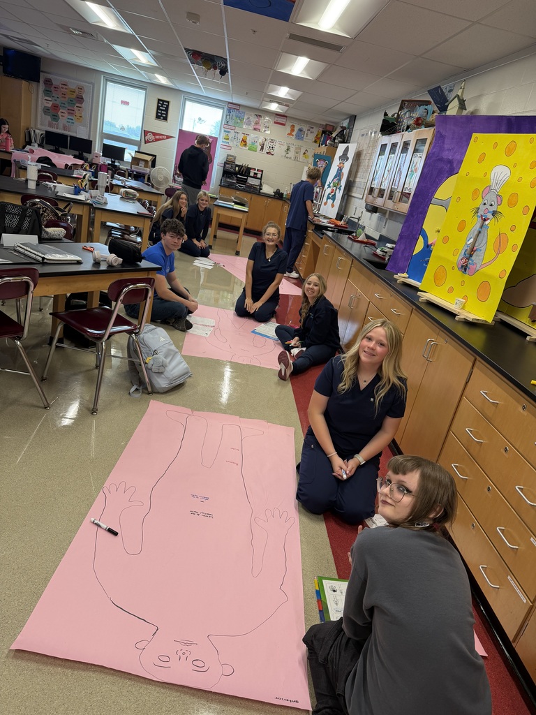 Anatomy