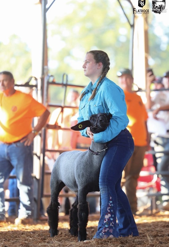 Bella Johnson placed second in Market Class!!