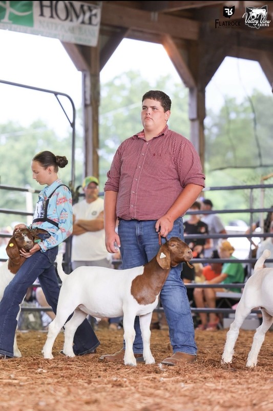 Tyson Hupp showing his goat, he got in the final drive!!