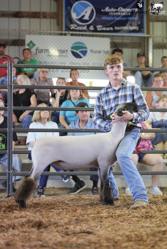 Hunter Lackey showing his lamb, he got 10th place overall!!