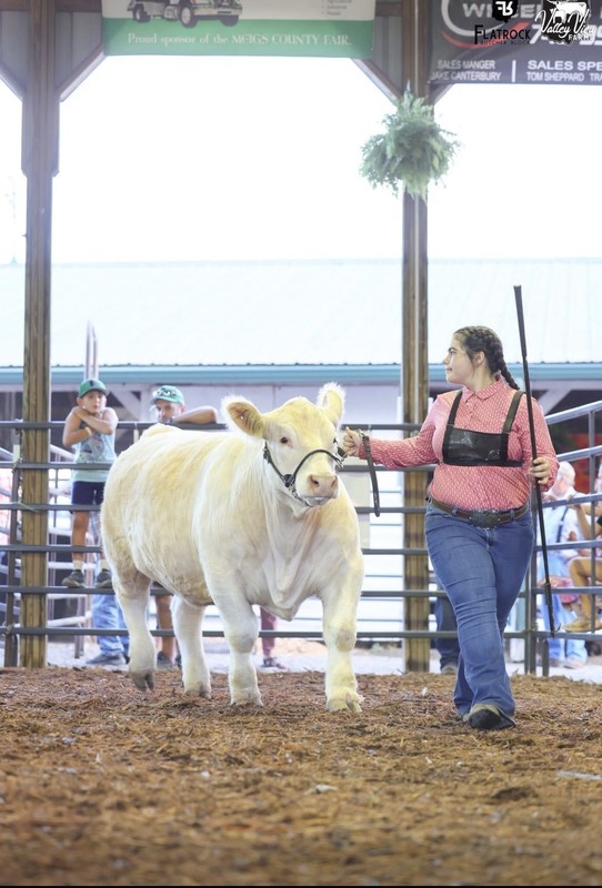 Marcy Evans showing her steer, she got 3rd over all in market class!!
