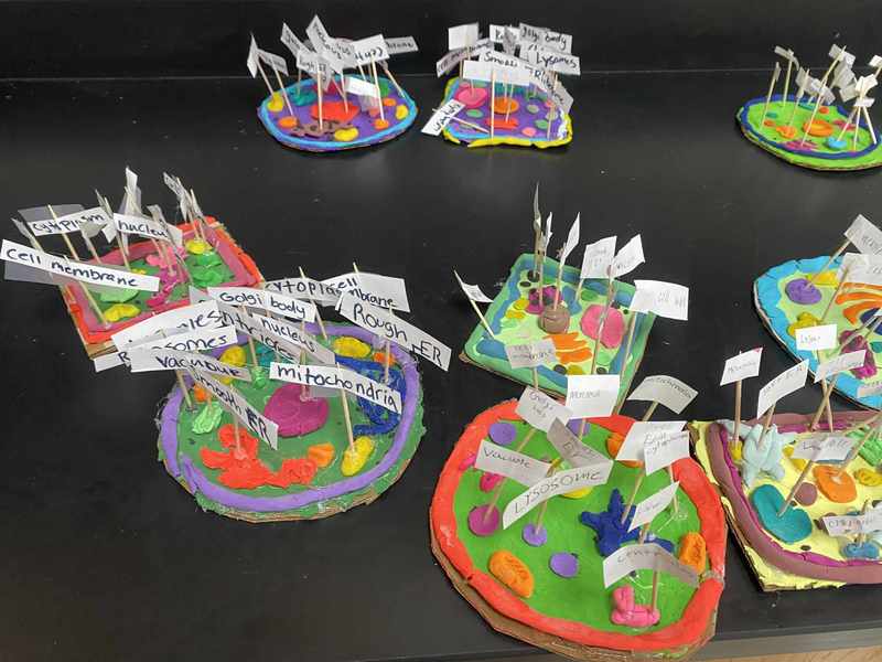 projects 1