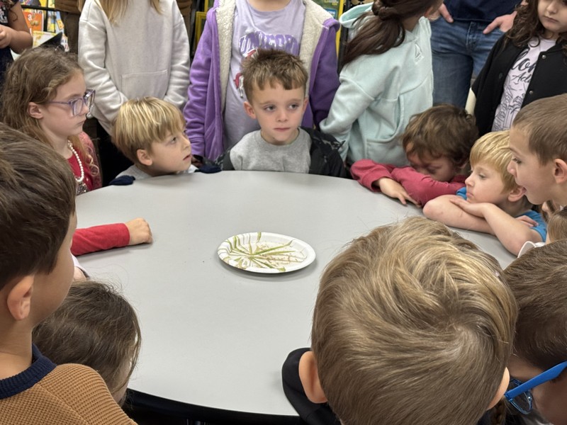 Pictured are the first graders around the pepper/soap demonstration.