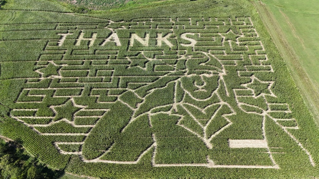 Corn Maze