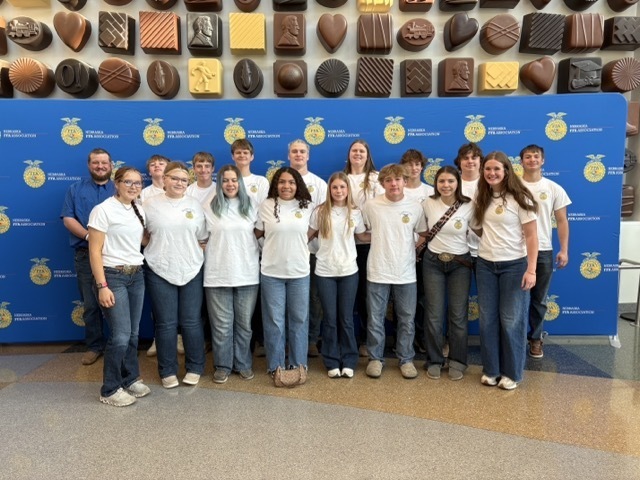 FFA Group