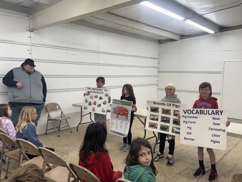 Four children stand at the front of a room holding educational posters about pigs, including pig breeds, products, and vocabulary. Other children sit in folding chairs facing them, listening.