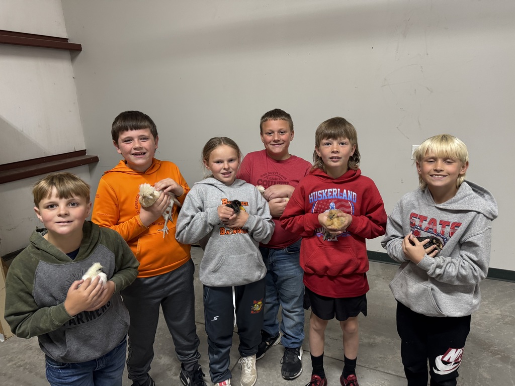 Six children stand indoors against a plain wall, each holding a small chick. They smile toward the camera while gently holding the birds in their hands.