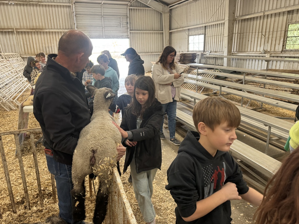 A man holds a sheep inside a barn while children stand nearby. One child reaches out to touch the sheep’s wool as others watch. The floor is covered in wood shavings.