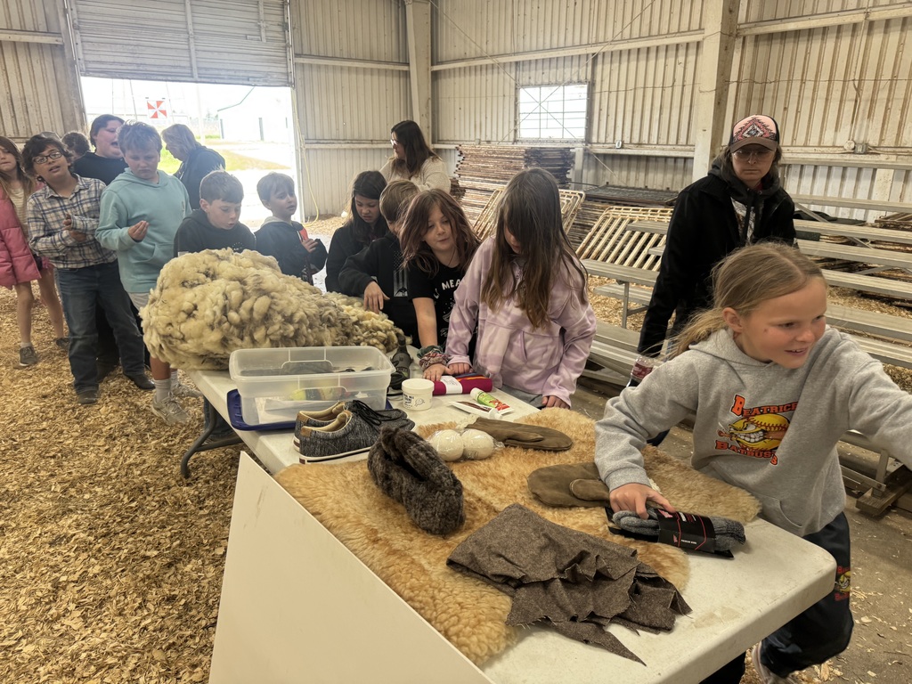 Children gather around a table indoors covered with wool and wool products, including clothing and materials. They touch and examine the items while learning about them.