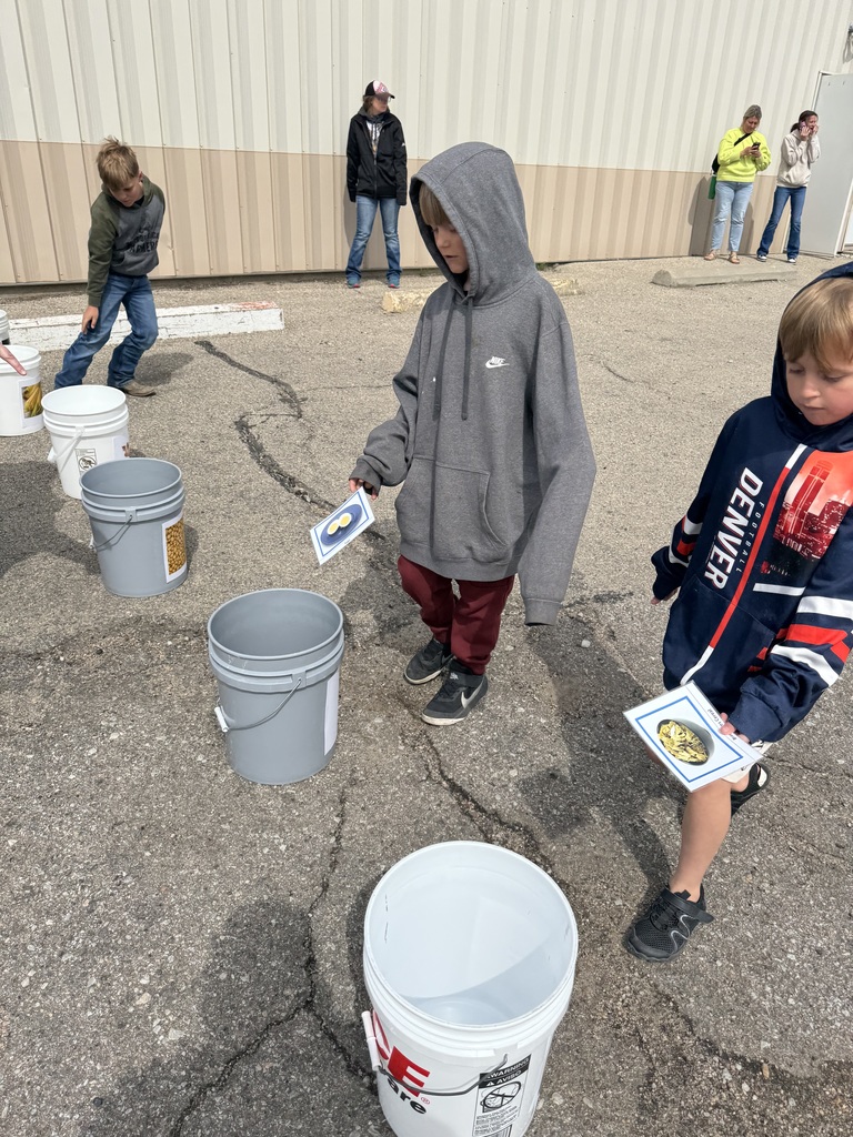 Two boys walk toward buckets placed on the ground outside. Each boy holds a card with a picture on it. Other children and adults are scattered in the background near the building.