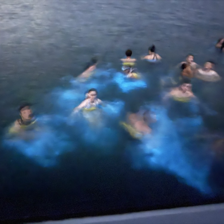 pic of kids swimming in a bioluminescent bay