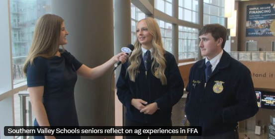 SV FFA