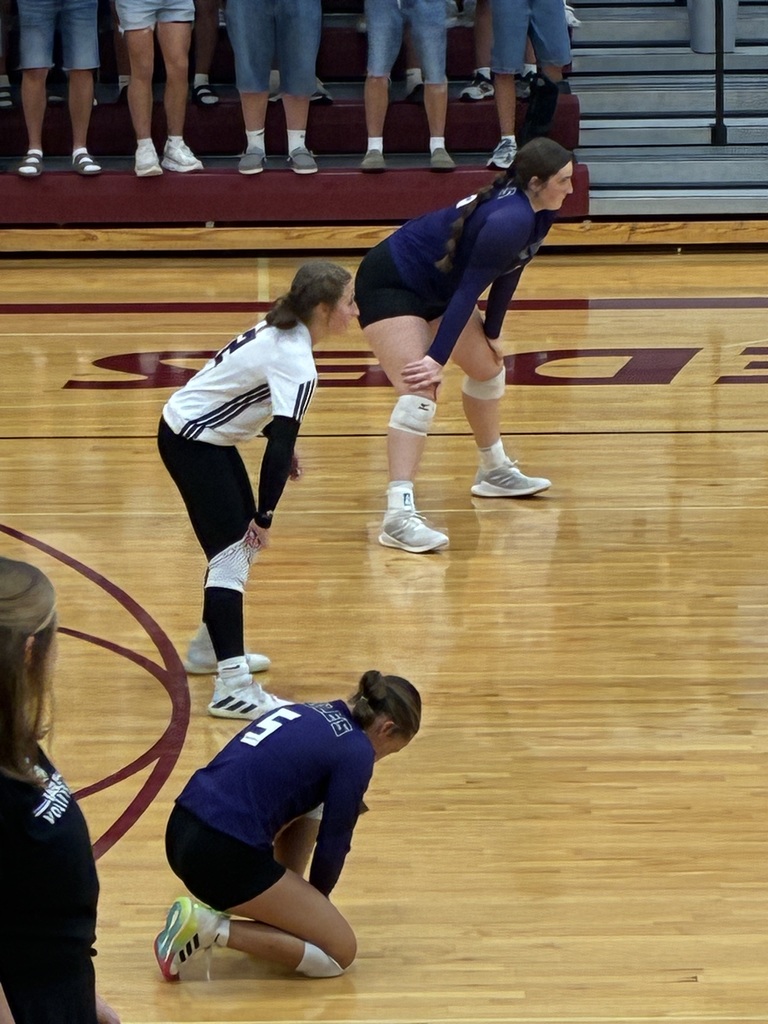Girls playing volleyball