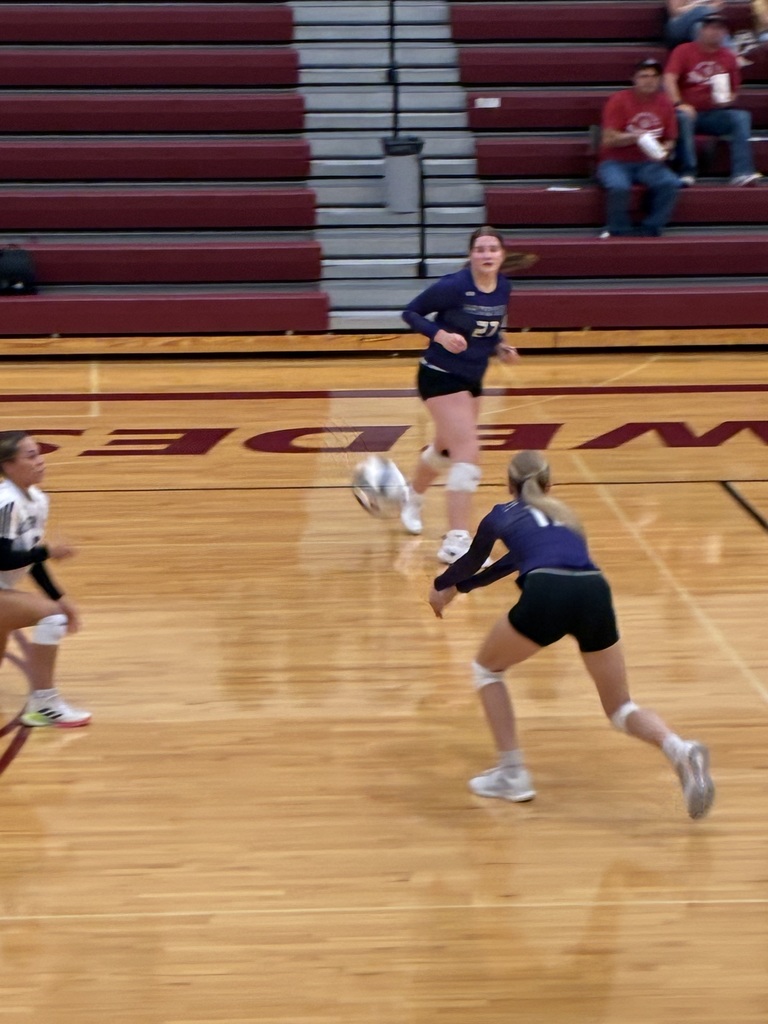 Girls playing volleyball