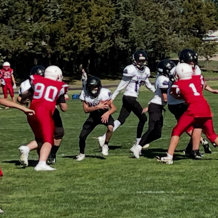 Dyson running the ball 