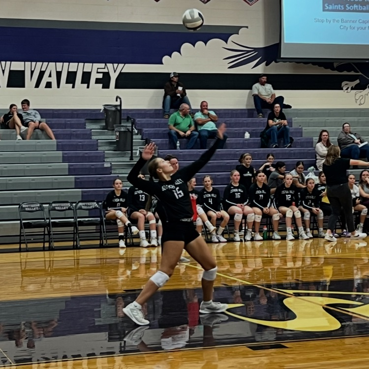 Paisley serve