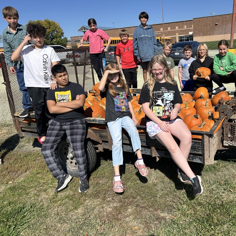 pumpkins