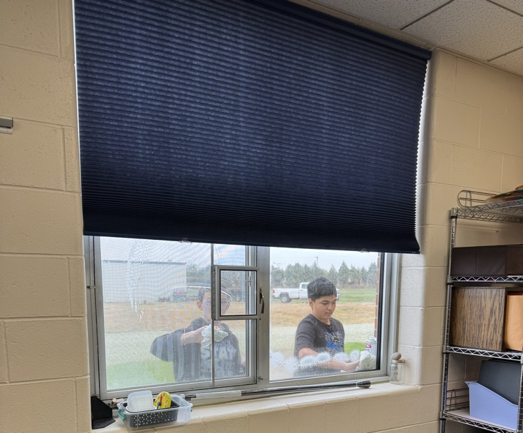 Kasten and Christian working hard to get rid of water spots on Mrs J Boseās windows .