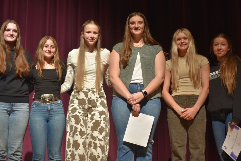 volleyball academic gold