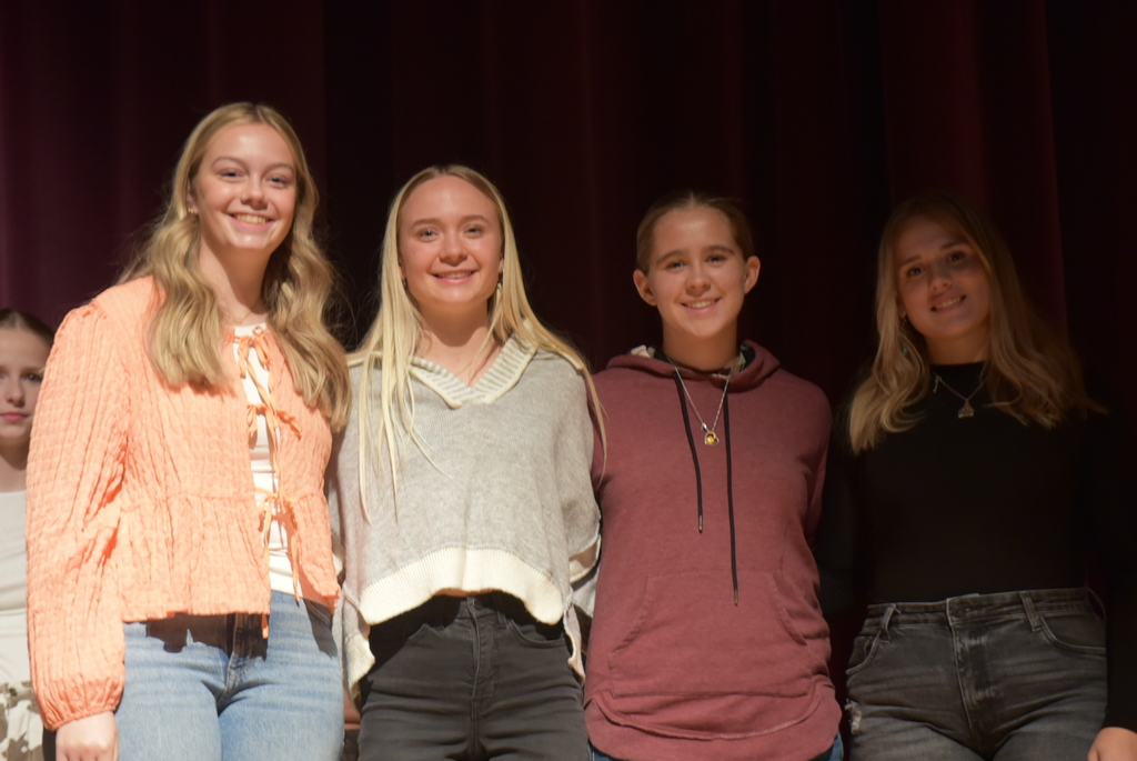 softball academic gold