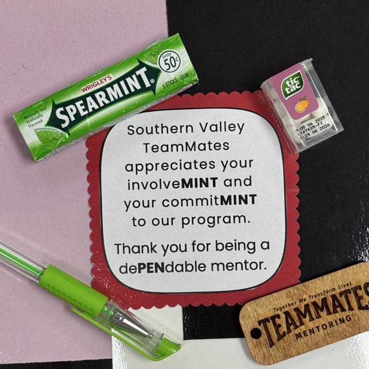Thank you Southern Valley TeamMates Mentors!